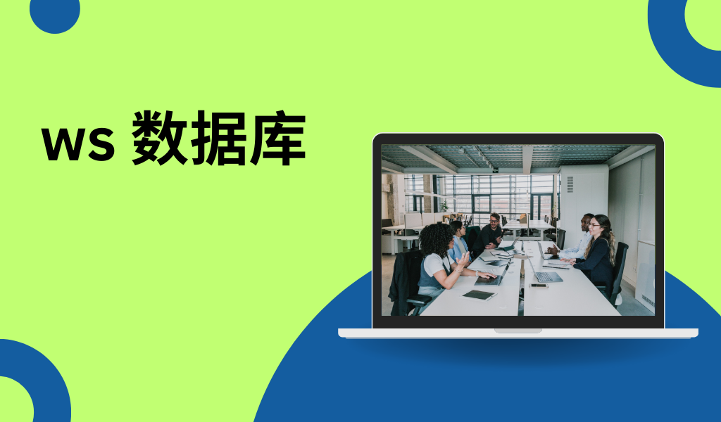ws 数据库